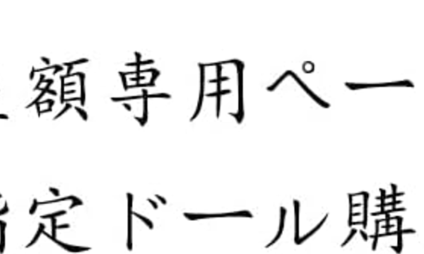 追加差額専用ページ